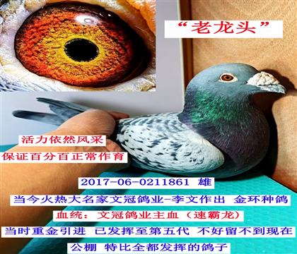 ����ͷ�������Ĺڸ�ҵ����-�ٰ�����