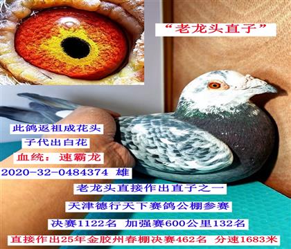 ����ͷֱ��