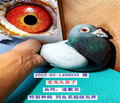 ����ͷֱ��