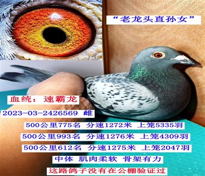 ����ͷֱ��Ů