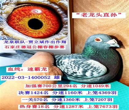 ����ͷֱ��