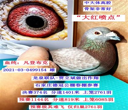 ���ǲ��˺������