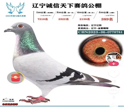 �ɸ������