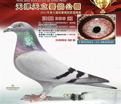 ���������������