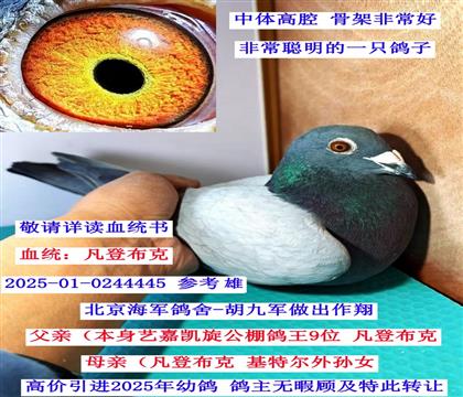 ������������-���ǲ���