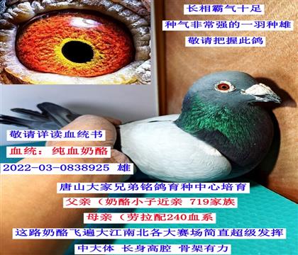 ��ɽ�ֵ�����-����������