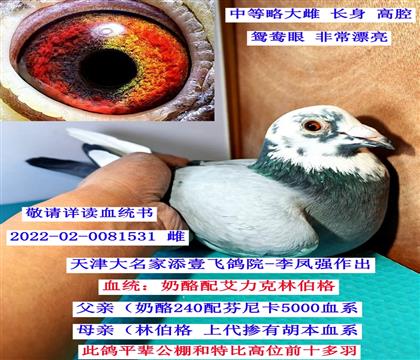 �����Ҽ�ɸ�Է-�����䰬�����ֲ���