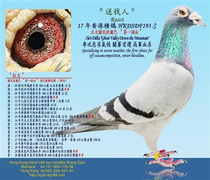 �Ϲ�����߱��ݣ������x�ϵҠ��͡���һ�CѪ��