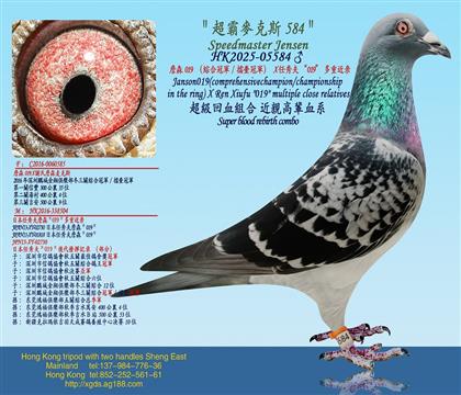 ղɭ019���C�Ϲ�܊/���_��܊��X �����019�����ؽ���