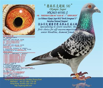 ���W���R����˹�W��ƥ�˳���003X�����Ώ���̖��X����ِ�_��