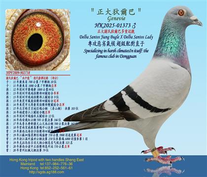 �����x�ϵҠ��Ͷ��ؽ��H