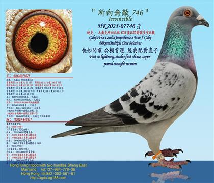 ���Ͽˡ������������޵�675X�w���W�̖���ؽ��H