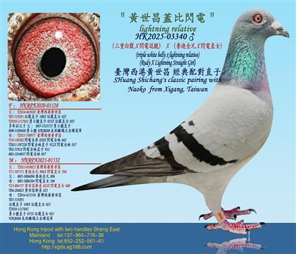 �����ذ׸�X�W늽��H��X������ȫ��X�W�ֱŮ��