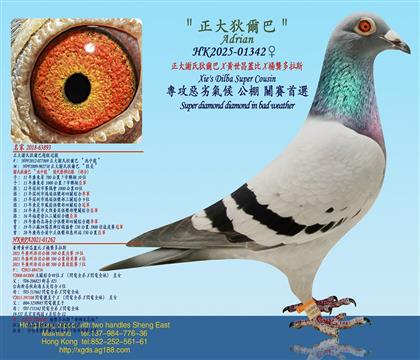 �����x�ϵҠ���X�S�����w��X��������˹