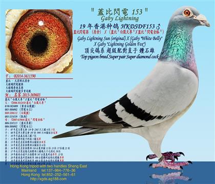 �Ϲ����w���W늌OX���w�ȣ��׸�����X�w�ȣ��W늽������