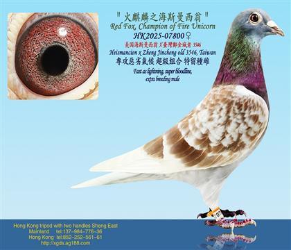 ������˹������X�_���������3546