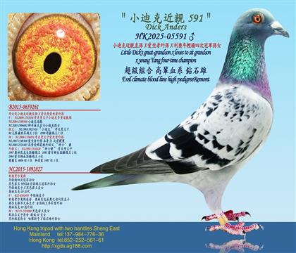 С�Ͽ˽��Hֱ�OX��������OX���W���p���Ĵι�܊�OŮ