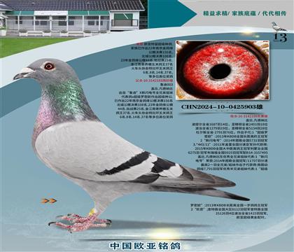 �Ǳ�ԭ��³��ֱ��183X³��ֱŮ199