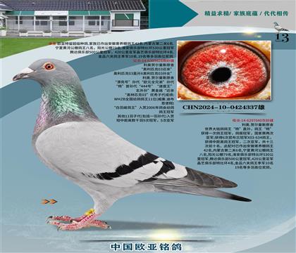 ����ԭ��Ư��A��828X������040