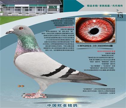 ����ԭ�������851X03����608