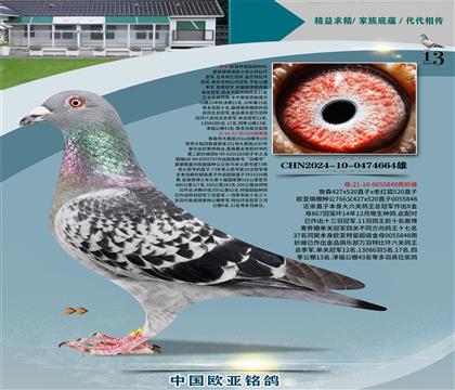 ղɭ251ֱ��326X766ֱŮ848