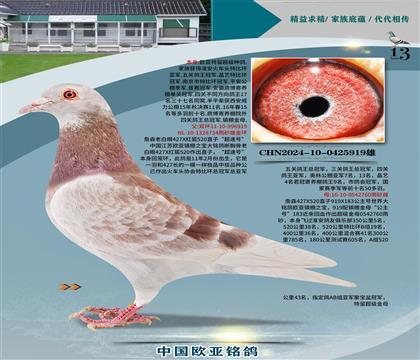 ղɭ427X520ֱ��919���ٺ�XֱŮ760����