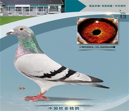 ����ɣ��ʿ048X�ƽ����ֱŮ488