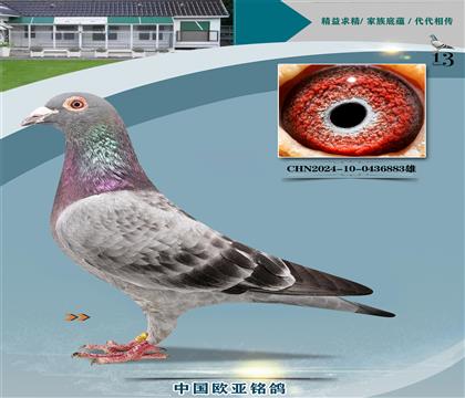 ղɭԭ�ᡰ�����š�131XֱŮ653