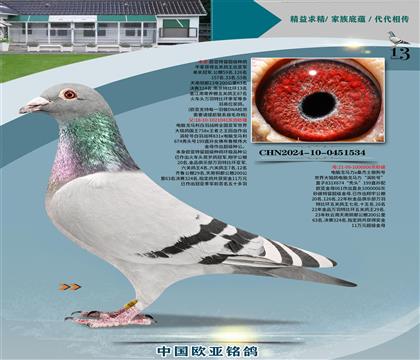 ����Xɣ��ʿ����ͭ��324��445��ƽ��