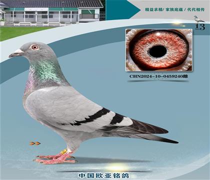 �ٰ���ԭ����У��218X214ֱŮ768