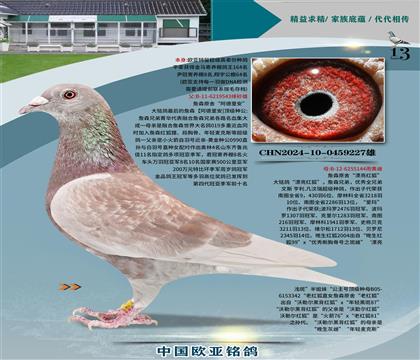 ղɭԭ�ᡰ�����ﰲ��543X��Ư�������144