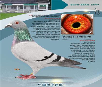 �Ǳ�ԭ��³��ֱ��129X�����165