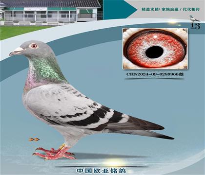 ղɭ���659Xղɭ766ֱŮ765