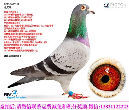 ��ķ.��������ԭ������