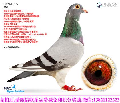 ��ķ.��������ԭ���ִ�