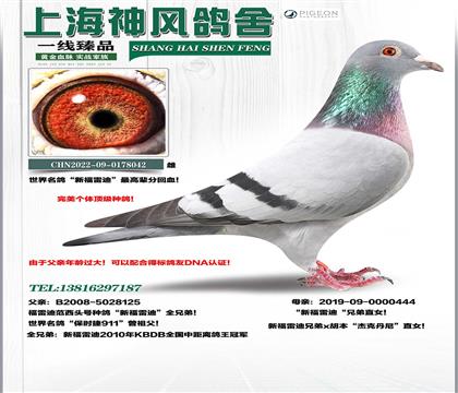 �¸��׵�ֱ���ʱ��911үү����