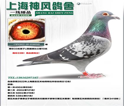 �Ϸ�33����12��