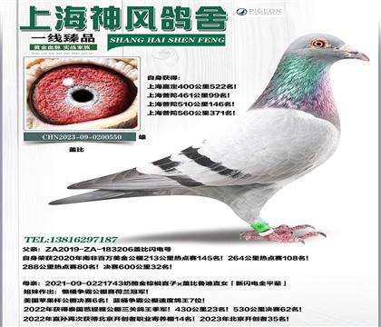 �Ǳ����磡������