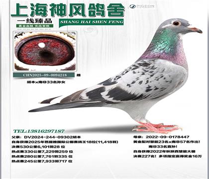 ���������Ÿ���18��x�Ϸ�33��Ů����227��