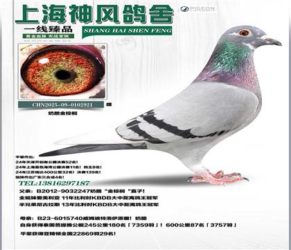 ���ҽ����ֱ��x��ķ����