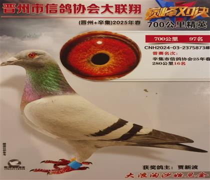 �����Ÿ�Э��700����97��