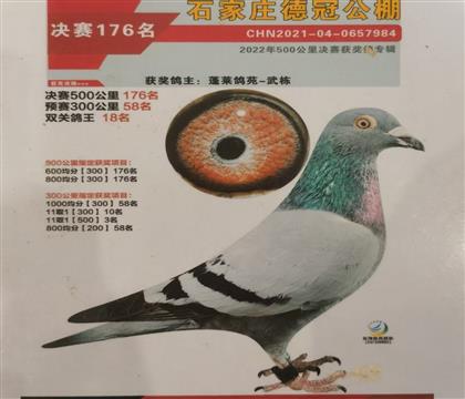 �¹ڹ���˫�ظ���18��