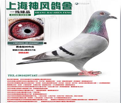 �ƽ���Ի���23��x�Ϸ�57��