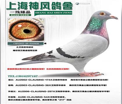 �����������������