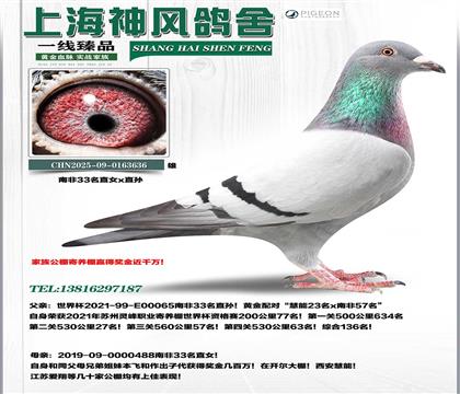 �Ϸ�33ֱŮxֱ��