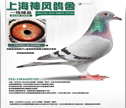 ���ҽ����ֱ��x����鵰����ż���