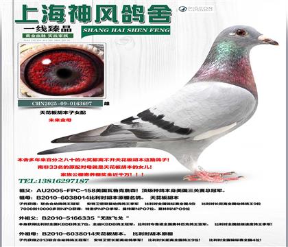 �컨�������Ů��