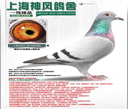 �Ϸ�33������25��x����335�����Ϸ�33��Ů��