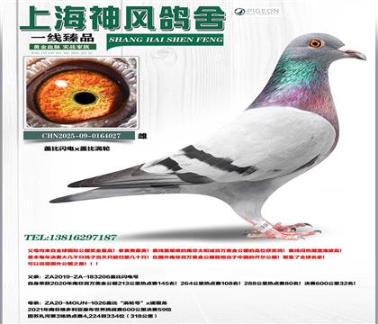 �Ǳ������Ϸ�32��x�Ǳ�����59��