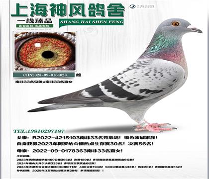 �Ϸ�33�ֵ�x�Ϸ�33ֱŮ